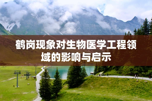 鹤岗现象对生物医学工程领域的影响与启示