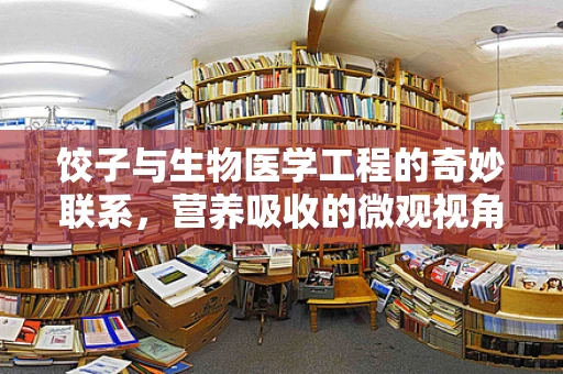 饺子与生物医学工程的奇妙联系，营养吸收的微观视角