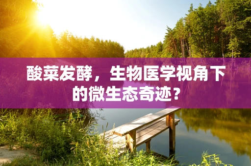 酸菜发酵，生物医学视角下的微生态奇迹？