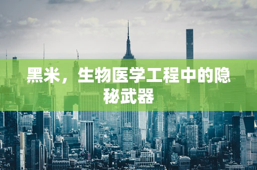 黑米，生物医学工程中的隐秘武器