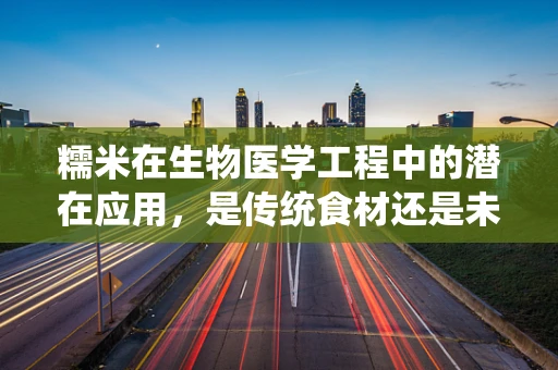 糯米在生物医学工程中的潜在应用，是传统食材还是未来疗法的秘密？