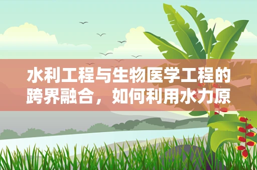水利工程与生物医学工程的跨界融合，如何利用水力原理优化医疗设备设计？
