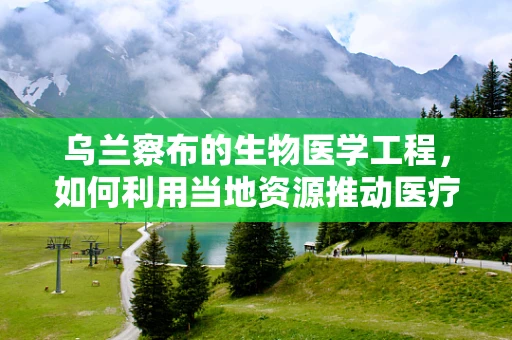 乌兰察布的生物医学工程，如何利用当地资源推动医疗创新？