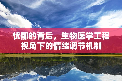 忧郁的背后，生物医学工程视角下的情绪调节机制