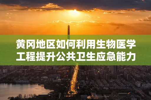 黄冈地区如何利用生物医学工程提升公共卫生应急能力？