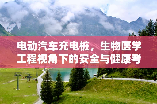 电动汽车充电桩，生物医学工程视角下的安全与健康考量