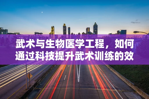 武术与生物医学工程，如何通过科技提升武术训练的效率与安全？
