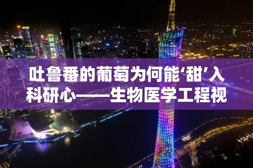 吐鲁番的葡萄为何能‘甜’入科研心——生物医学工程视角下的独特现象