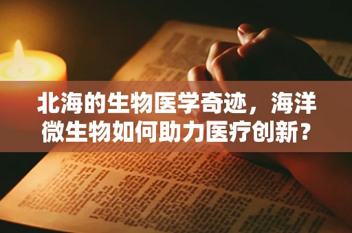 北海的生物医学奇迹，海洋微生物如何助力医疗创新？