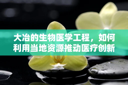大冶的生物医学工程，如何利用当地资源推动医疗创新？