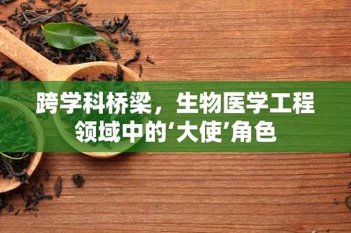 跨学科桥梁，生物医学工程领域中的‘大使’角色