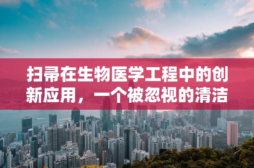 扫帚在生物医学工程中的创新应用，一个被忽视的清洁工具新使命？