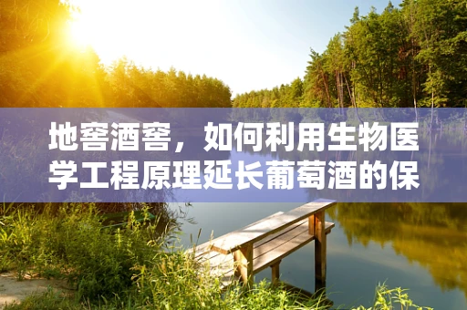 地窖酒窖，如何利用生物医学工程原理延长葡萄酒的保鲜期？