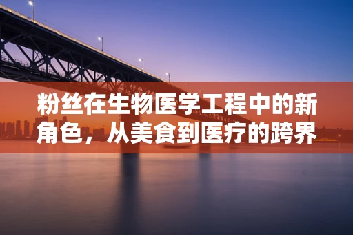 粉丝在生物医学工程中的新角色，从美食到医疗的跨界探索