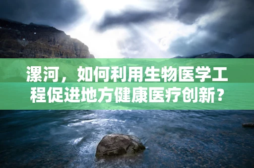 漯河，如何利用生物医学工程促进地方健康医疗创新？
