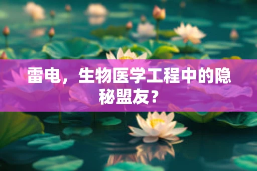 雷电，生物医学工程中的隐秘盟友？