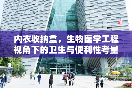 内衣收纳盒，生物医学工程视角下的卫生与便利性考量