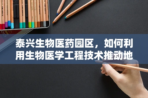 泰兴生物医药园区，如何利用生物医学工程技术推动地方健康产业发展？