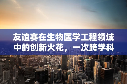 友谊赛在生物医学工程领域中的创新火花，一次跨学科的交流盛宴