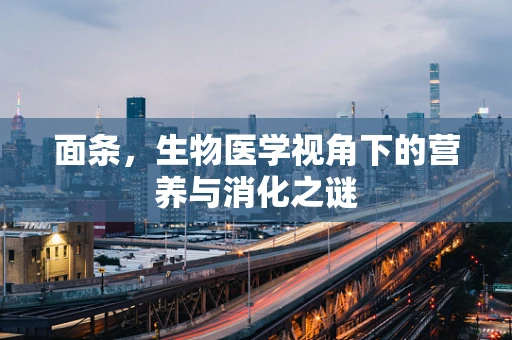 面条，生物医学视角下的营养与消化之谜