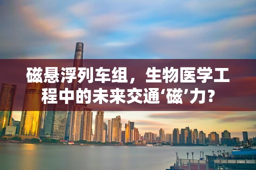 磁悬浮列车组，生物医学工程中的未来交通‘磁’力？