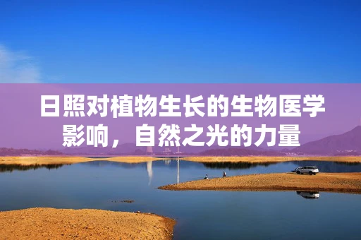 日照对植物生长的生物医学影响，自然之光的力量