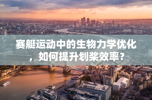 赛艇运动中的生物力学优化，如何提升划桨效率？