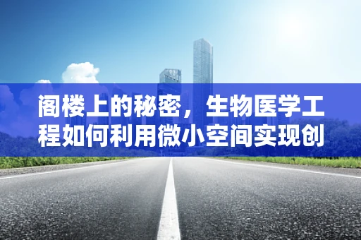 阁楼上的秘密，生物医学工程如何利用微小空间实现创新？