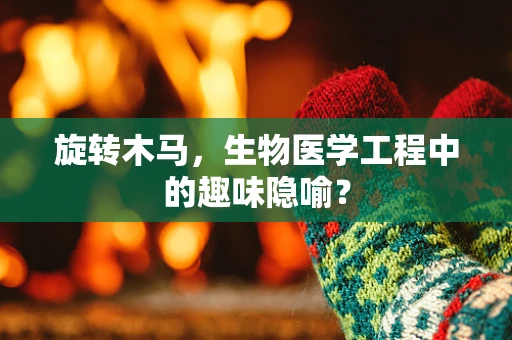 旋转木马，生物医学工程中的趣味隐喻？