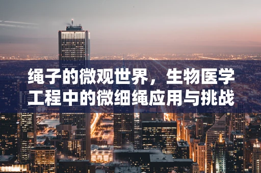 绳子的微观世界，生物医学工程中的微细绳应用与挑战
