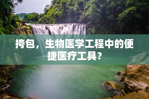挎包，生物医学工程中的便捷医疗工具？