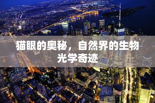 猫眼的奥秘，自然界的生物光学奇迹