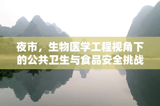夜市，生物医学工程视角下的公共卫生与食品安全挑战