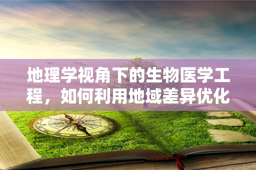 地理学视角下的生物医学工程，如何利用地域差异优化医疗资源分配？