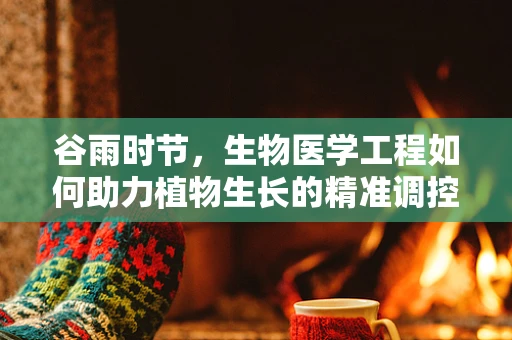 谷雨时节，生物医学工程如何助力植物生长的精准调控？