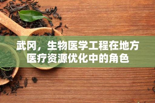 武冈，生物医学工程在地方医疗资源优化中的角色