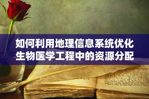 如何利用地理信息系统优化生物医学工程中的资源分配？