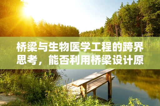 桥梁与生物医学工程的跨界思考，能否利用桥梁设计原理优化医疗设备？