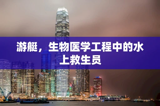 游艇，生物医学工程中的水上救生员