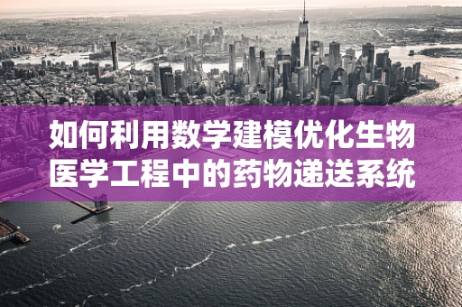 如何利用数学建模优化生物医学工程中的药物递送系统？