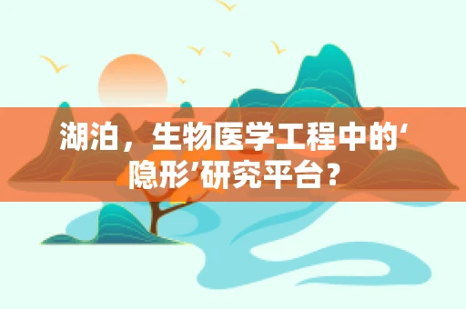 湖泊，生物医学工程中的‘隐形’研究平台？