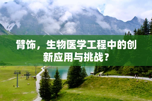 臂饰，生物医学工程中的创新应用与挑战？
