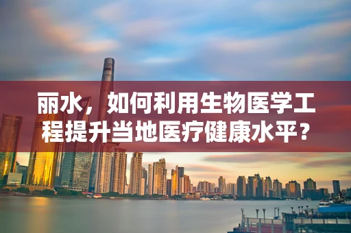 丽水，如何利用生物医学工程提升当地医疗健康水平？