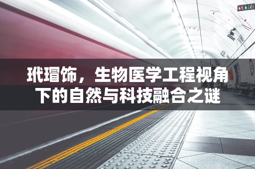 玳瑁饰，生物医学工程视角下的自然与科技融合之谜