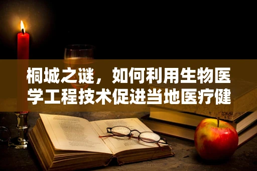 桐城之谜，如何利用生物医学工程技术促进当地医疗健康发展？