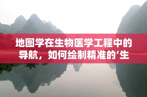 地图学在生物医学工程中的导航，如何绘制精准的‘生命地图’？