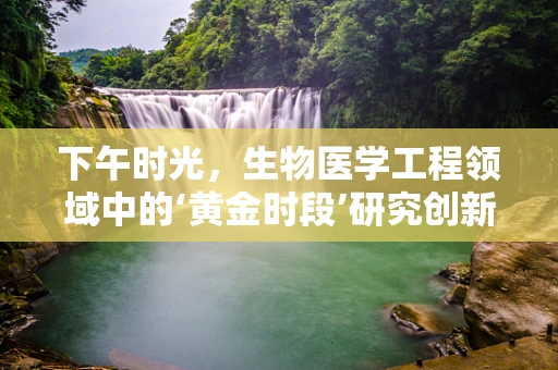 下午时光，生物医学工程领域中的‘黄金时段’研究创新