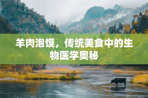 羊肉泡馍，传统美食中的生物医学奥秘