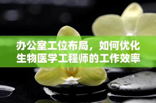 办公室工位布局，如何优化生物医学工程师的工作效率？