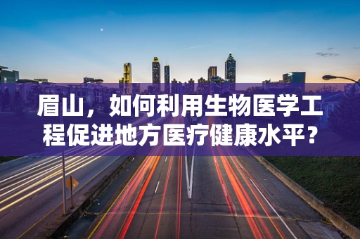 眉山，如何利用生物医学工程促进地方医疗健康水平？